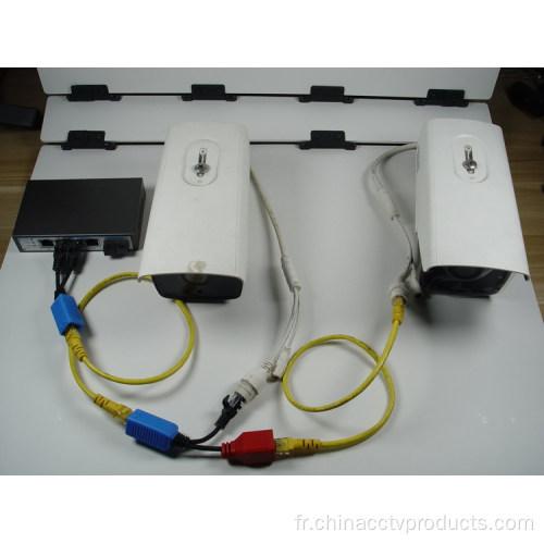 1 câble CAT5E / 6 pour 2 caméras IP (PT102A, B)